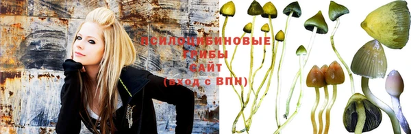 дурь Абинск