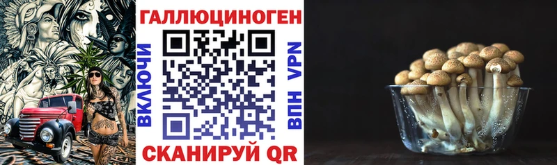 Галлюциногенные грибы Cubensis  Суоярви 